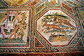 Desenzano - I mosaici della villa romana 